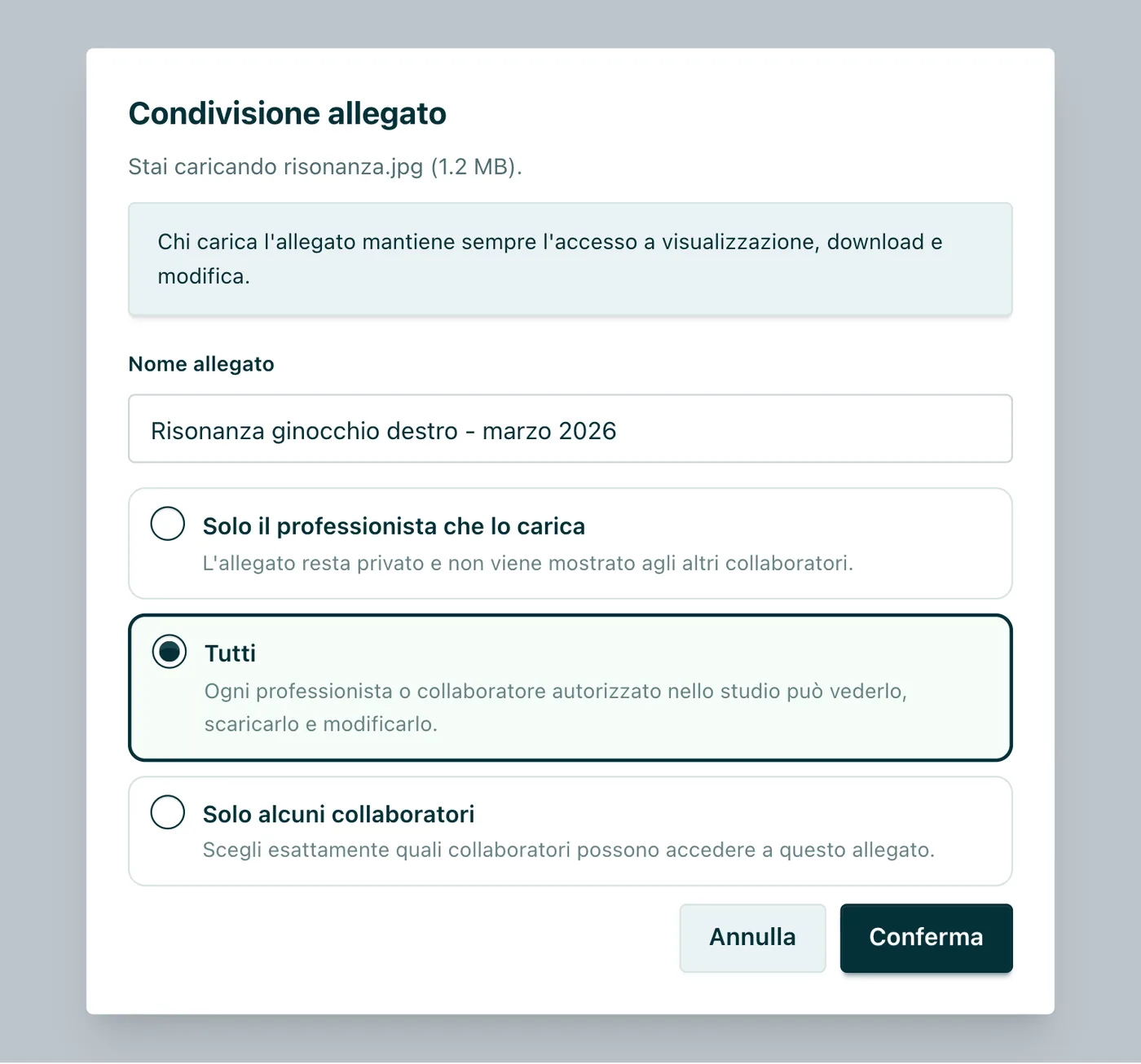 Condivisione allegato Nome del file e scelta del livello di visibilità tra «Solo chi carica», «Tutti» e «Solo alcuni collaboratori».