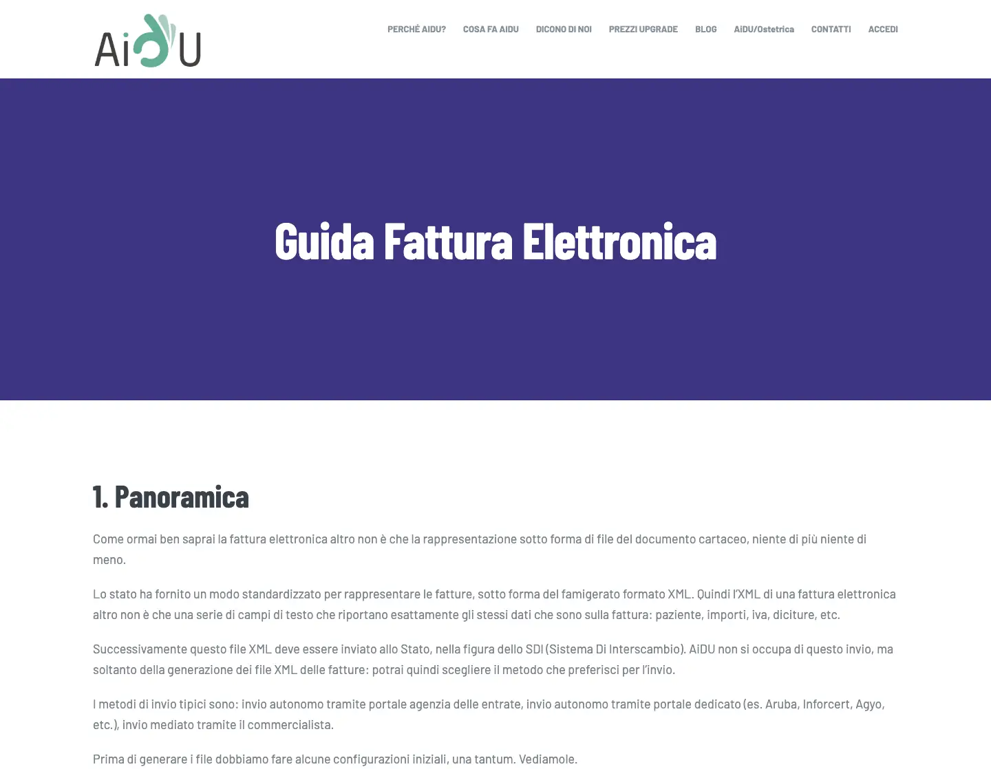Guida ufficiale di AiDU alla fattura elettronica, che precisa che il software genera i file XML ma non si occupa dell'invio allo SdI